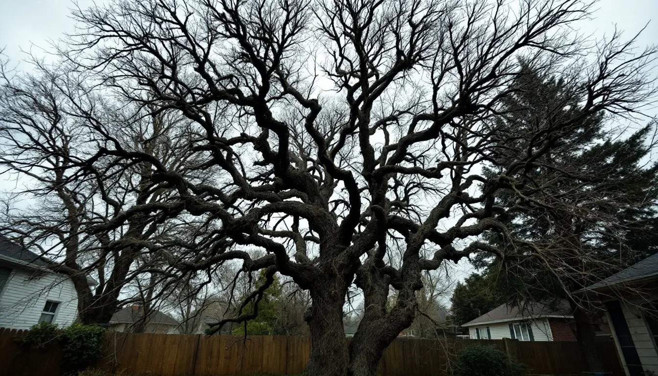 Tree Clearing Service in Amarillo